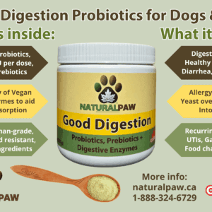 Good Digestion probiotics supplement for dogs and cats.